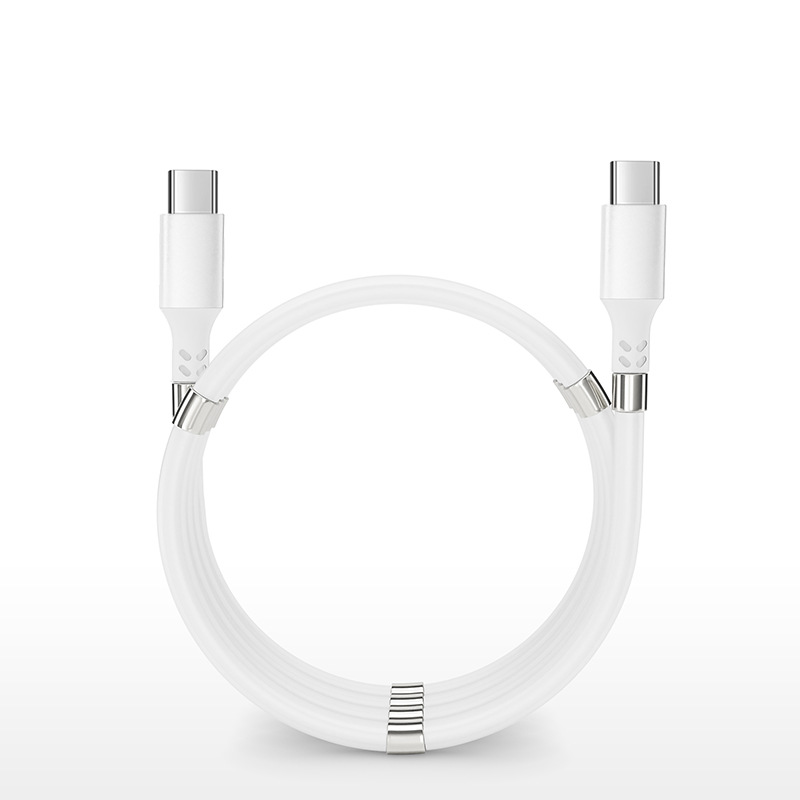 Magnetic Cable (1)
